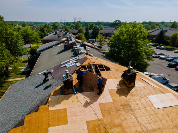 Trusted Roof Replacement service in Lakewood, WA - Brentwood Metal Roofing
